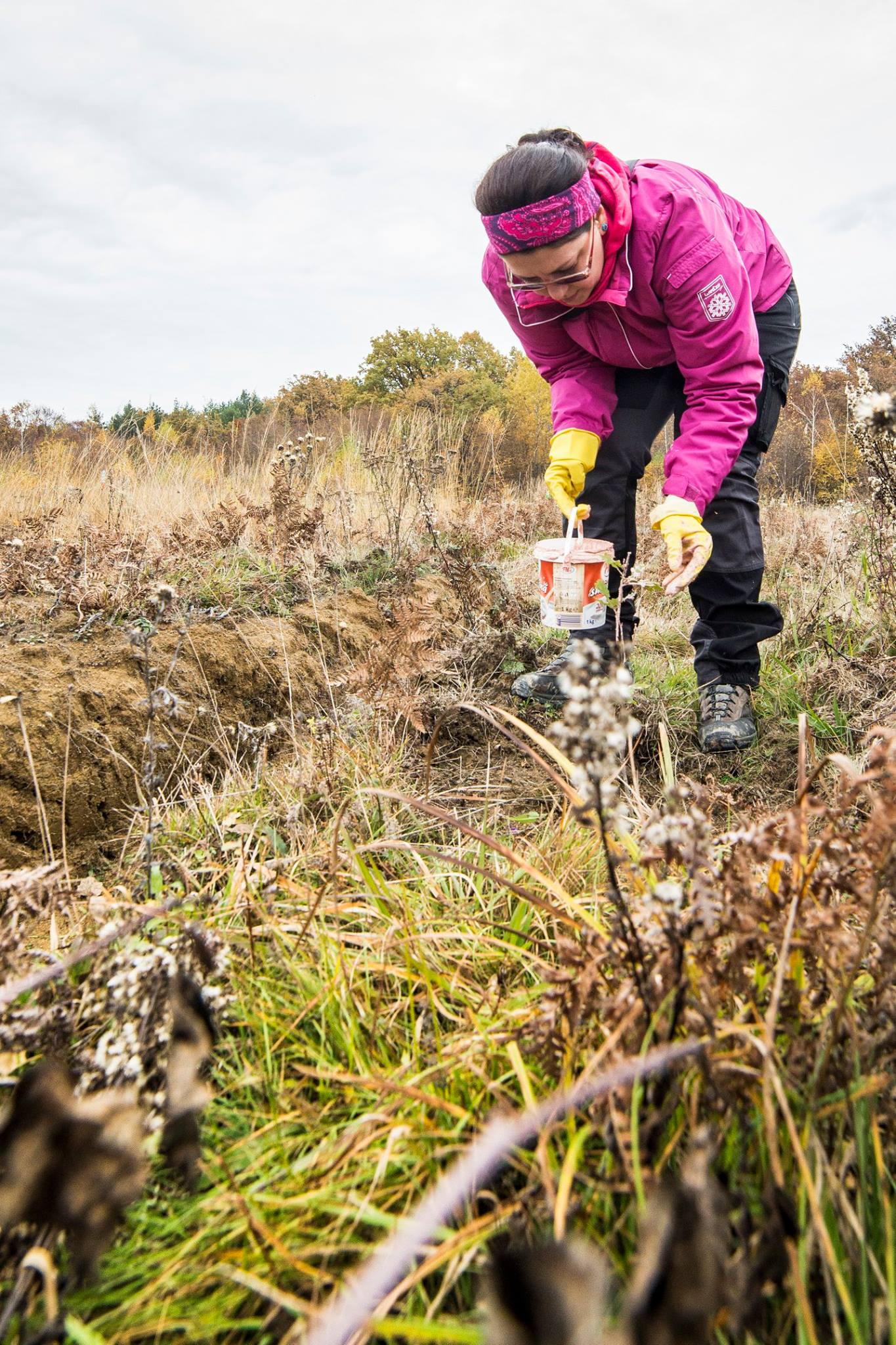 Arpasu Iarna 2016 12